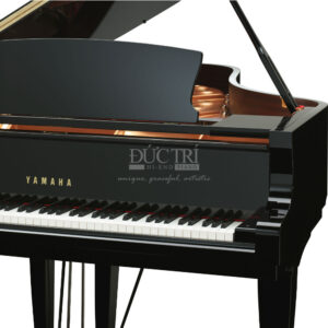phím đàn Yamaha S7X