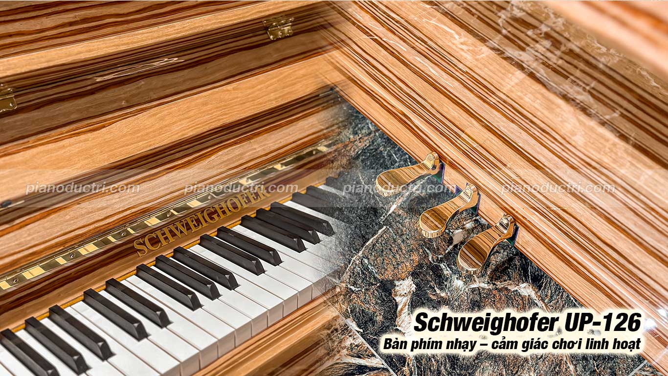 Schweighofer UP-126 5 Đàn piano Schweighofer up126 cao cấp tại Piano Đức Trí