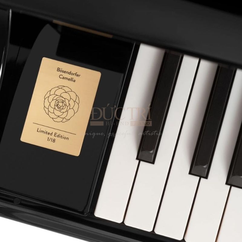 Bosendorfer Camellia 5 Hình ảnh cận cảnh bàn phím Đàn Piano Cơ Bosendorfer Camellia Grand