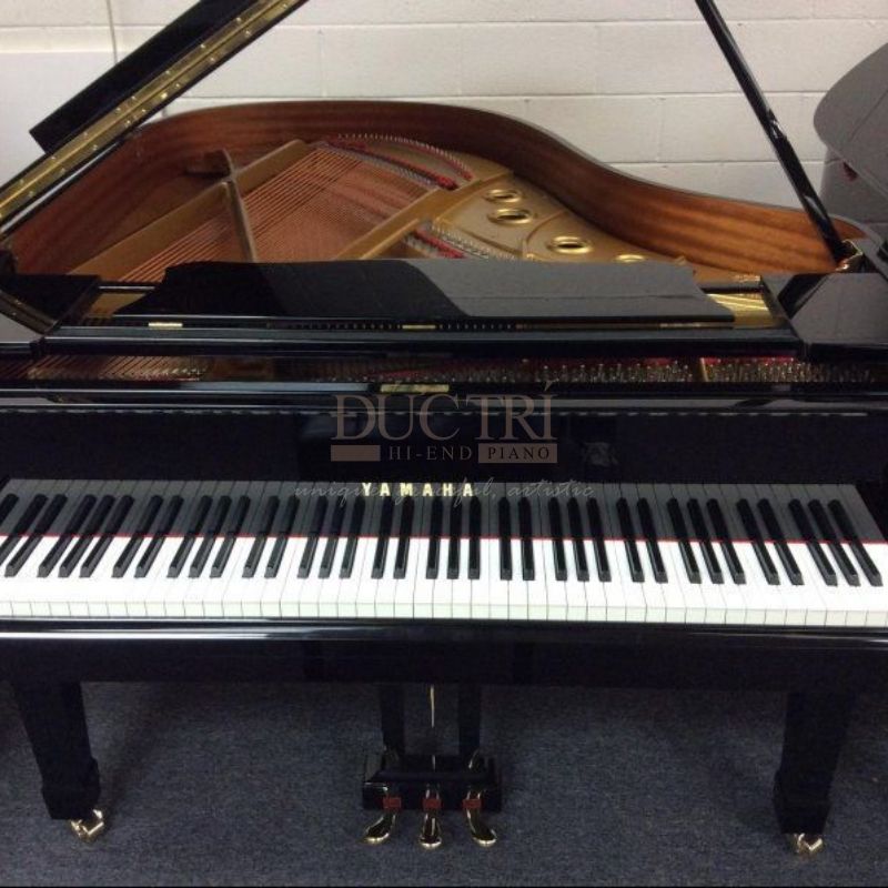 Yamaha G1E 3 Hình ảnh cận cảnh bàn phím Đàn Piano Cơ Yamaha G1E Grand