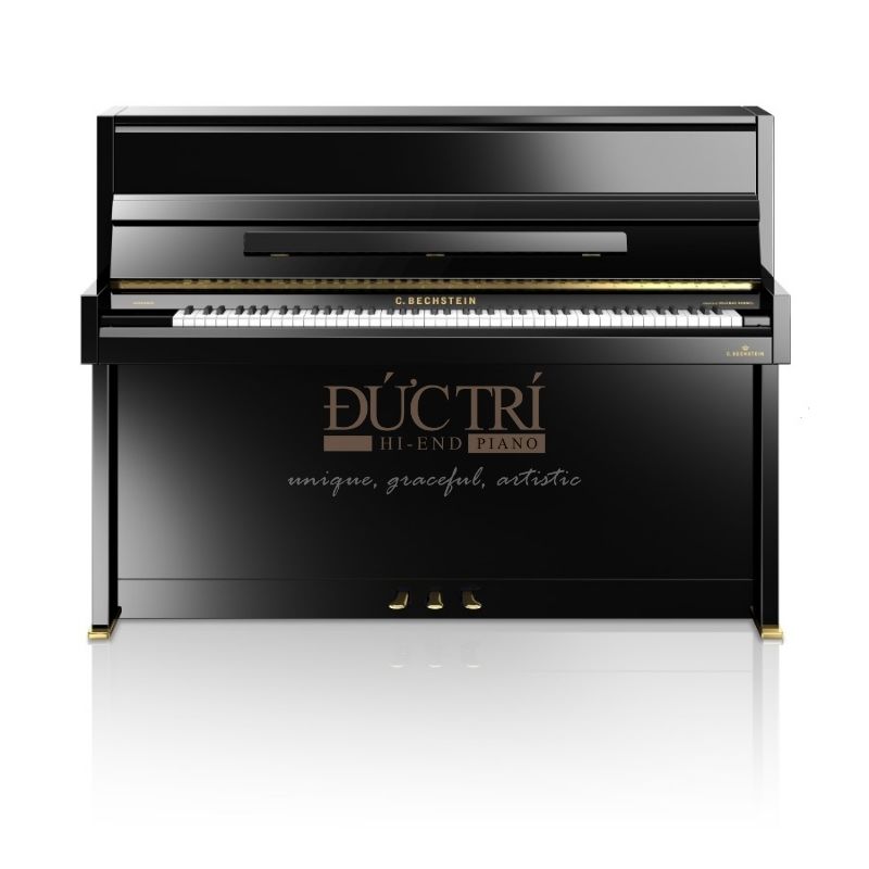 C.Bechstein R2 Millenium 6 Hình ảnh trực diện của Đàn Piano Cơ C.Bechstein R2 Millenium Residence Upright