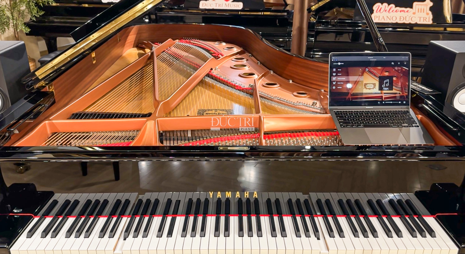 Về các bản nhạc chơi tự động từ Piano Đức Trí 1 Piano Tu Dong Choi