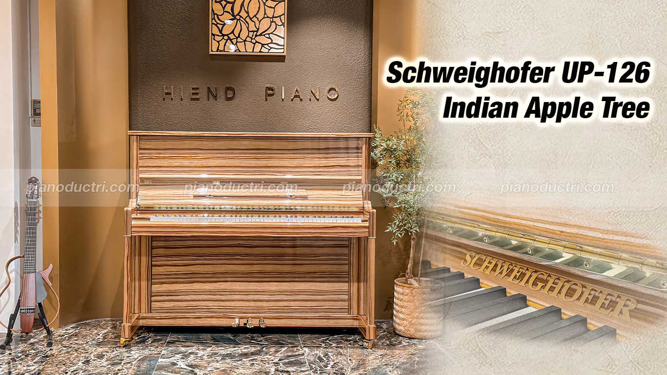 Schweighofer UP-126 1 Đàn piano Schweighofer up126 cao cấp tại Piano Đức Trí