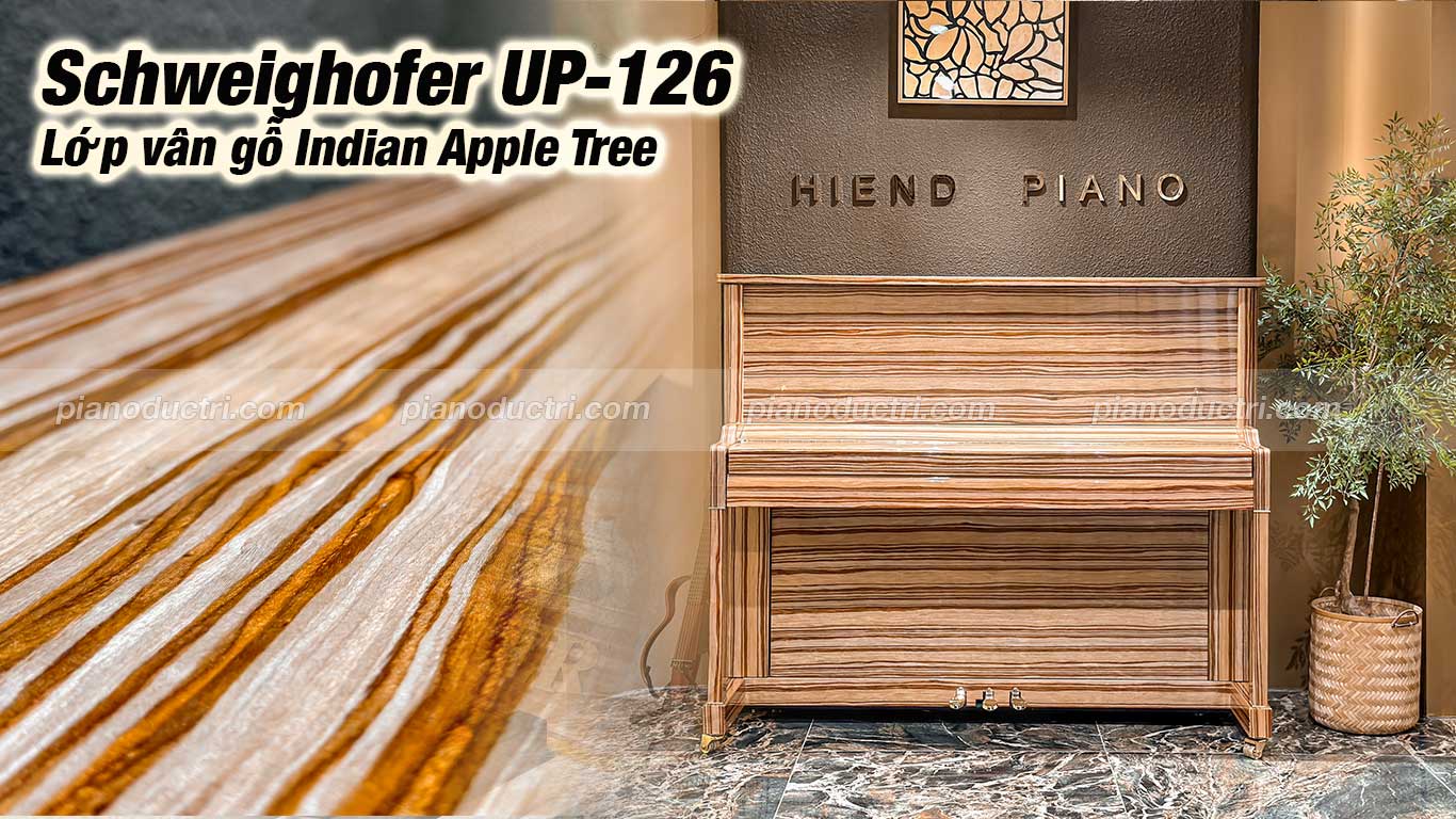 Schweighofer UP-126 3 Đàn piano Schweighofer up126 cao cấp tại Piano Đức Trí