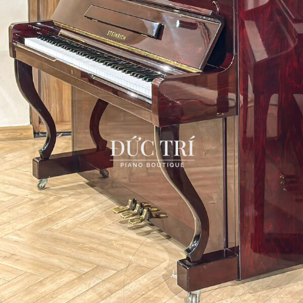 steinrich s17