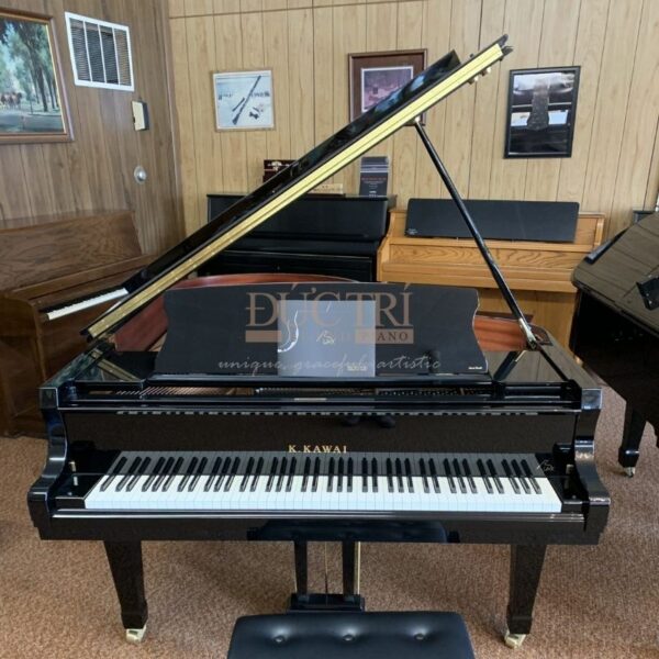 Đàn Kawai GL40