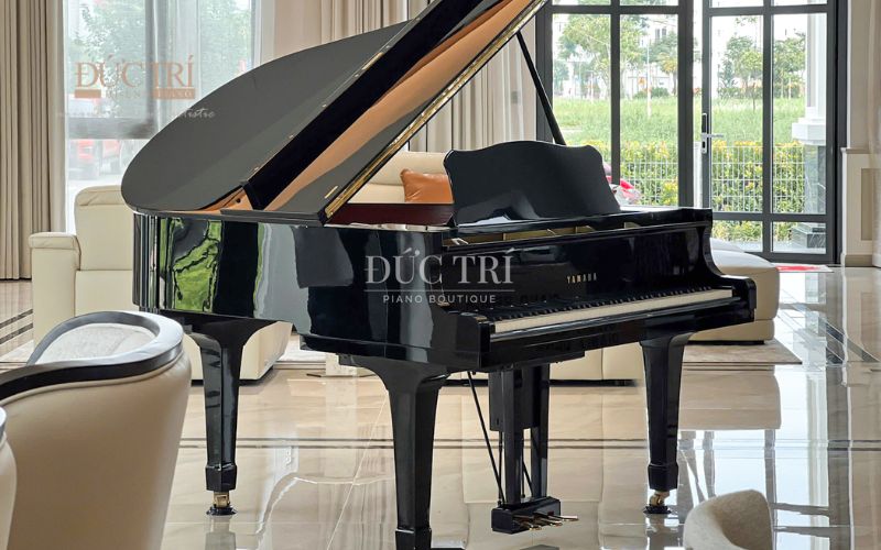 Bàn giao đàn Grand Piano Yamaha G1B Disklavier đến Đồng Nai 1 Đàn piano Yamaha G1B