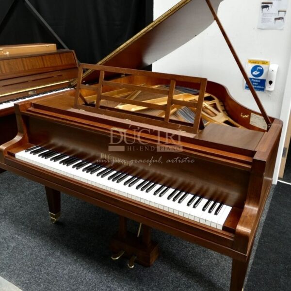 Hình ảnh trực diện của Đàn Piano Bluthner 279