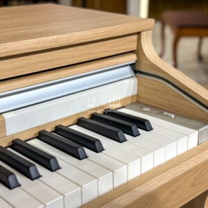 Logo và các phím trên đàn Đàn Piano Roland CA48