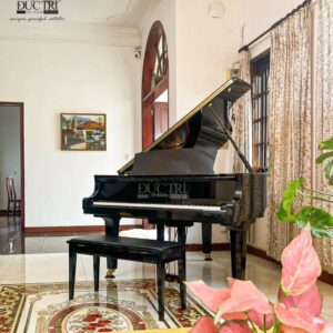 Yamaha C3X