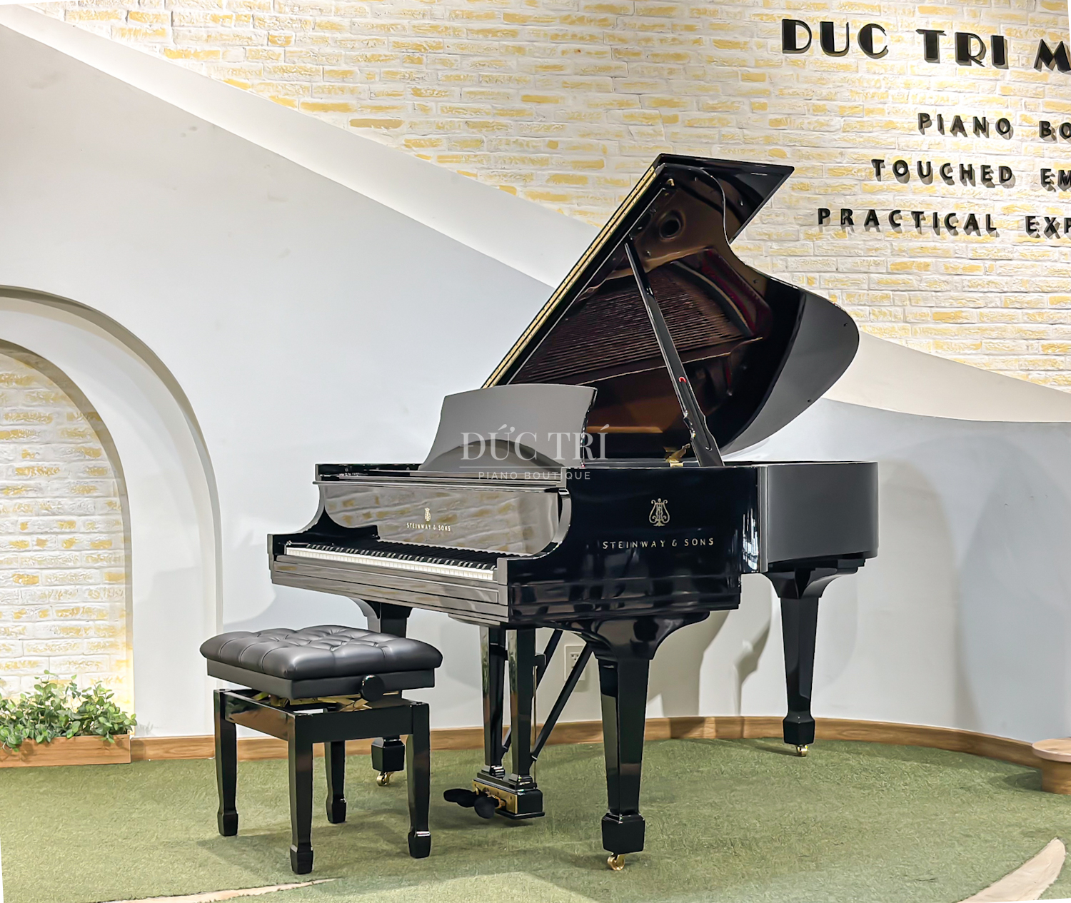 piano Tradition Line
